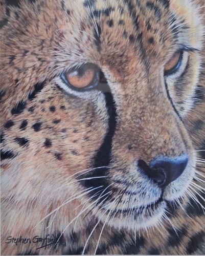 Quiet contemplation by - 'quiet,