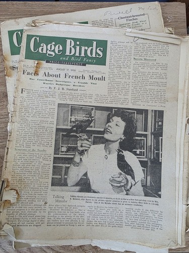 Vintage cage birds - cage, newspaper