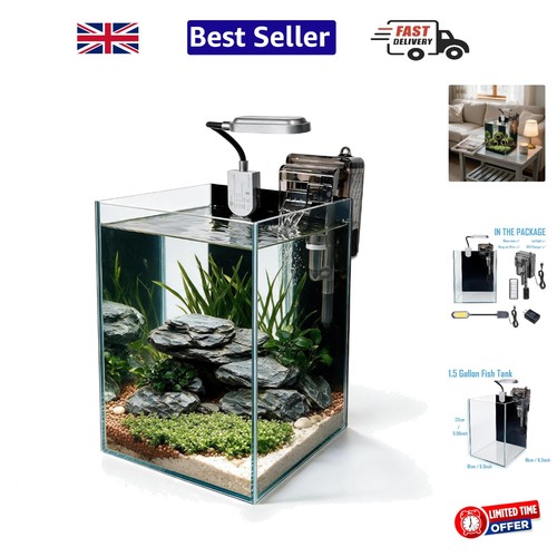 Fish tank starter - fish, kit