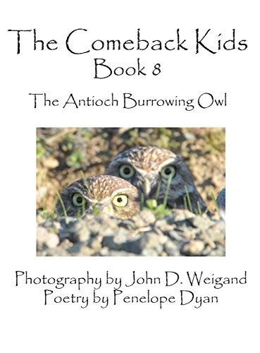 The comeback kids book - the,