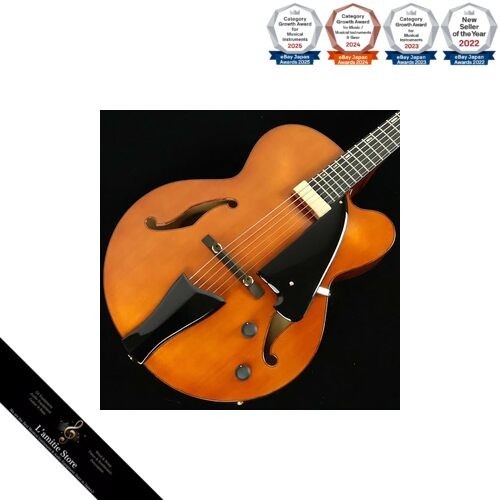 Ibanez artcore - artcore, series