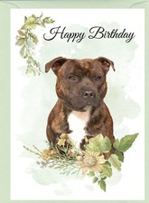 Staffordshire Bull Terrier Dog Staffie (4"x 6") Birthday Card with blank inside