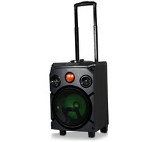 NEW Bush Bluetooth Party