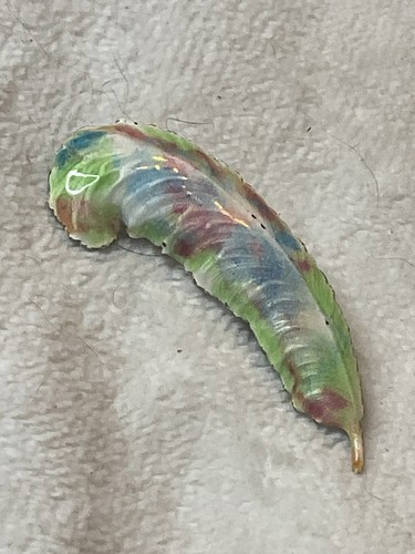 Vintage enamel silver - vintage, on