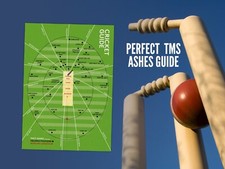 a4 cricket infographic print
