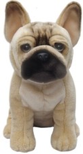 Fawn French Bulldog teddy