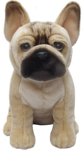 Fawn french bulldog teddy - fawn,