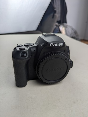 Canon eos 250d - 250d, camera