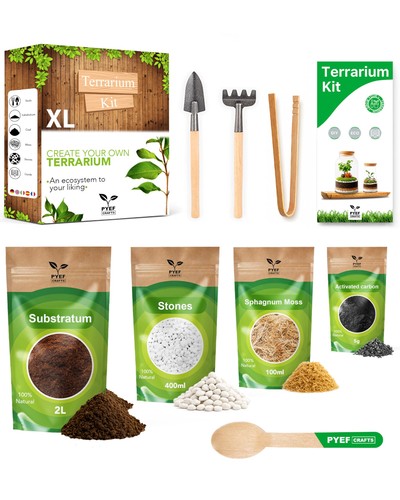 Diy terrarium kit for plants - for,