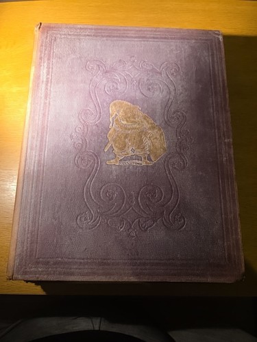 Punch volume 1868 - volume,