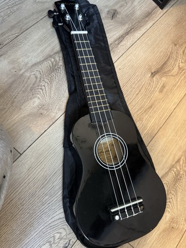 Ukulele beginners concert - ukulele,