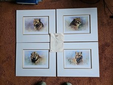 Tony Forrest BIG CAT PORTFOLIO Signed Limited Edition. 2001