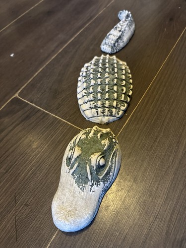 Submerged crocodile - crocodile,