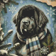 Newfoundland Puppy Dog