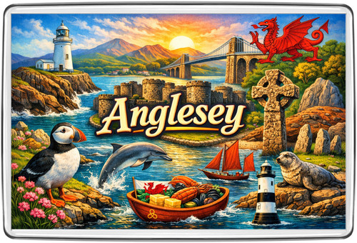 Fridge magnet travel - magnet,