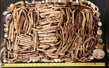  DRIFTWOOD PIECES.     Arts &