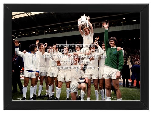 Framed 1972 cup trophy - 1972, fa