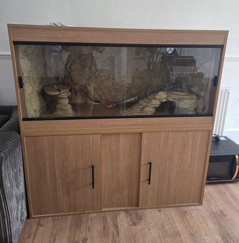 Wooden reptile vivarium - reptile,