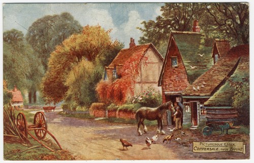 Picturesque essex coppersale - picturesque,