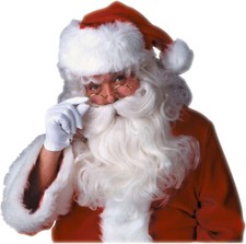 Adult's Wig And Beard