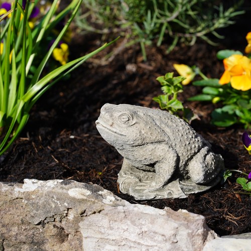 Toad stone statue outdoor - statue,