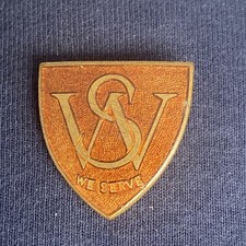 Vintage ‘WS’ WE SERVE  - LIONS CLUB INTERNATIONAL MOTTO - ENAMEL PIN BADGE