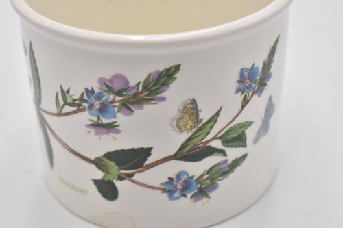 Vintage portmeirion botanic - vintage,