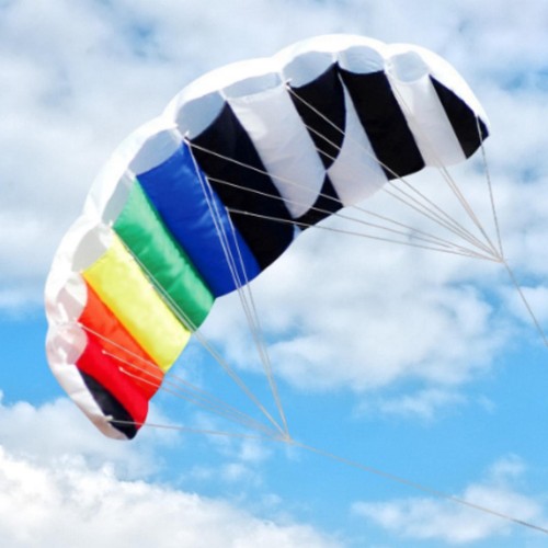 Dual line stunt kite giant - dual,