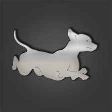 Xolo (Mexican Hairless) Style