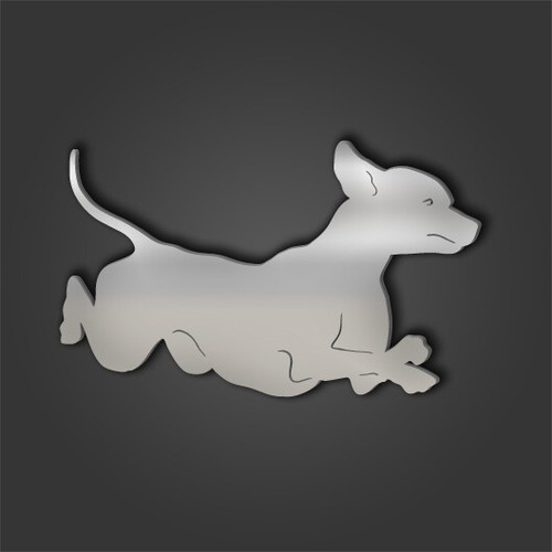 Xolo style - xolo,