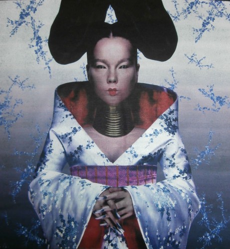 Bjork homogenic shirt - homogenic, t-shirt