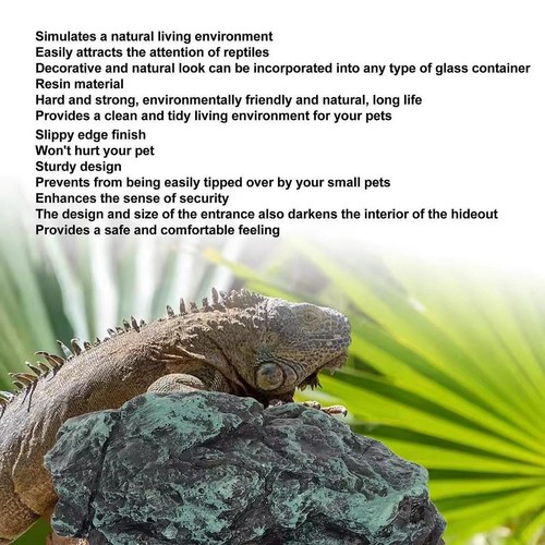 Turtle reptile basking hide - turtle,