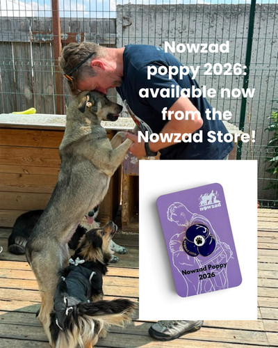 New the nowzad - nowzad, 2026