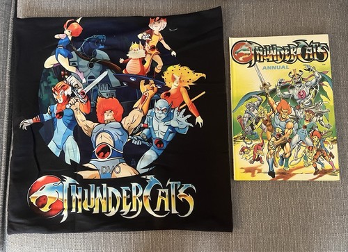 Thundercats pillowcase and - thundercats,