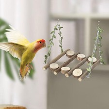 Birds Parrot Playground Bird