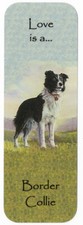 BORDER COLLIE DOG BEAUTIFUL