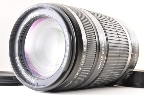 Canon 250mm 4 - ef-s, 55-250mm