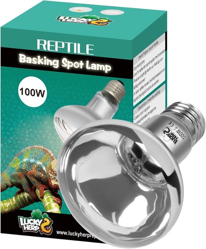 100w reptile heat - reptile, lamp