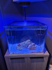 Saltwater Reef Aquarium Plus Extras ai prime