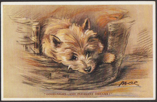 Mac dog postcard - (lucy, dawson)