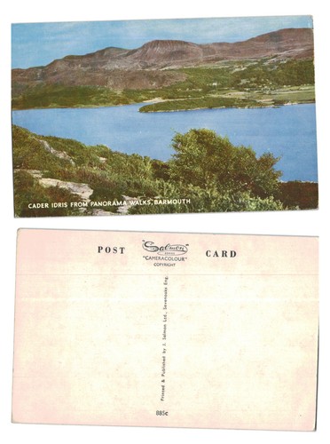 Vintage postcard cader - postcard,