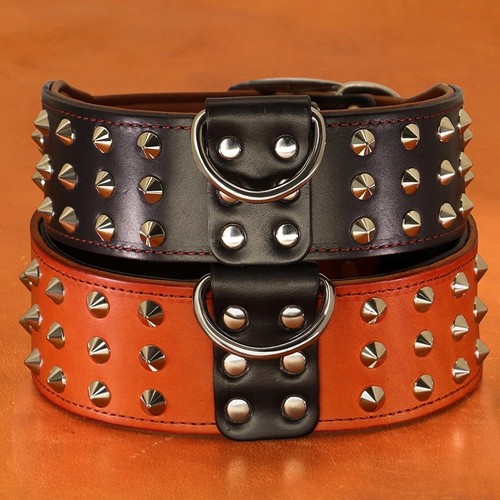 Genuine leather spiked dog - spiked,