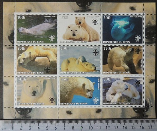 2003 polar bears scouts