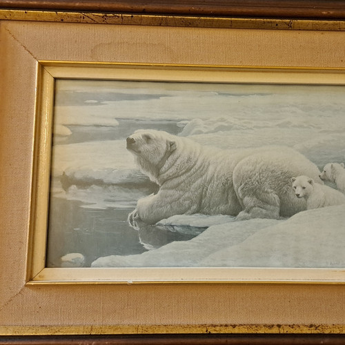 Robert bateman polar - robert,