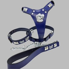 Staffy Dog Harness Leather