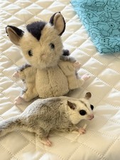 Jellycat Christmas Rare Lolly