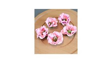 Sugar paste handmade figurine cake topper cute set of 5 pink hibiscus flowers