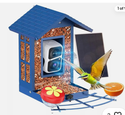 Bird feeder with - bird,