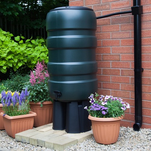 Whitefurze rainwater garden - whitefurze,