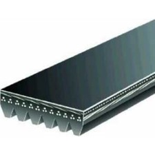 K060910 Gates Serpentine Belt